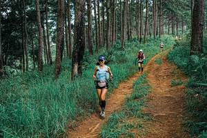 BIB: 
                            <button type="button" onclick="openModal(25653005)" class="btn btn-primary btn-sm float-right btn-popup" data-toggle="modal" data-target=".modal-high-quality">
                        <i class="fas fa-shopping-cart"></i> Add to Cart
                    </button>
                                            <button type="button" onclick="isThisMe(25653005, true)" class="btn btn-success btn-sm float-right btn-popup btn-isme hidden" data-toggle="tooltip" data-placement="bottom" title="นี่คือรูปของคุณใช่ไหม คลิกที่นี่เพื่อเอาเข้าอัลบั้ม">
                        <i class="fas fa-plus"></i> Add to album
                    </button>
                    <button type="button" onclick="isThisMe(25653005, false)" class="btn btn-warning btn-sm float-right btn-popup btn-isnotme hidden">
                        <i class="fas fa-ban"></i> Remove from album
                    </button>